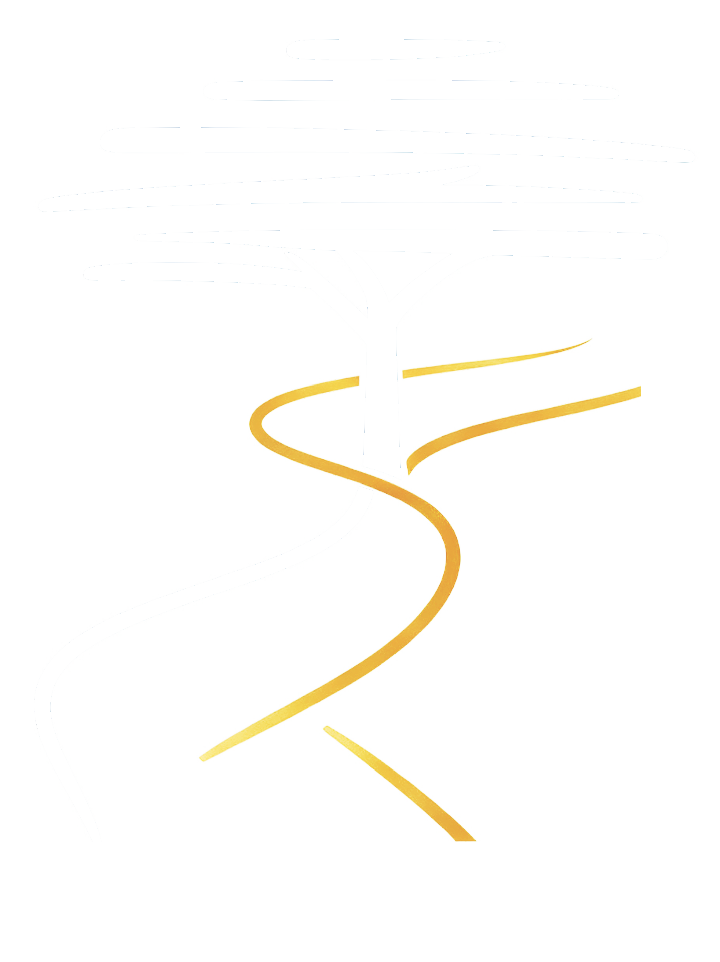 Paisirui Global